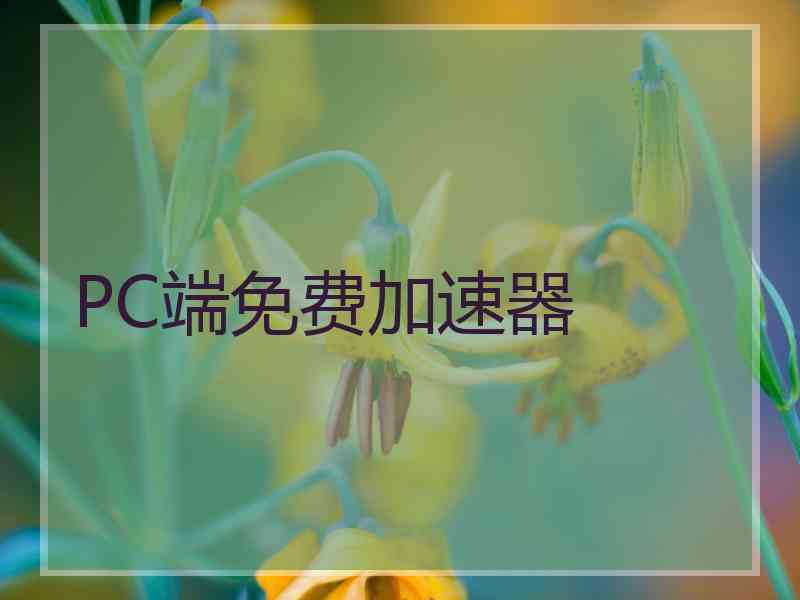 PC端免费加速器