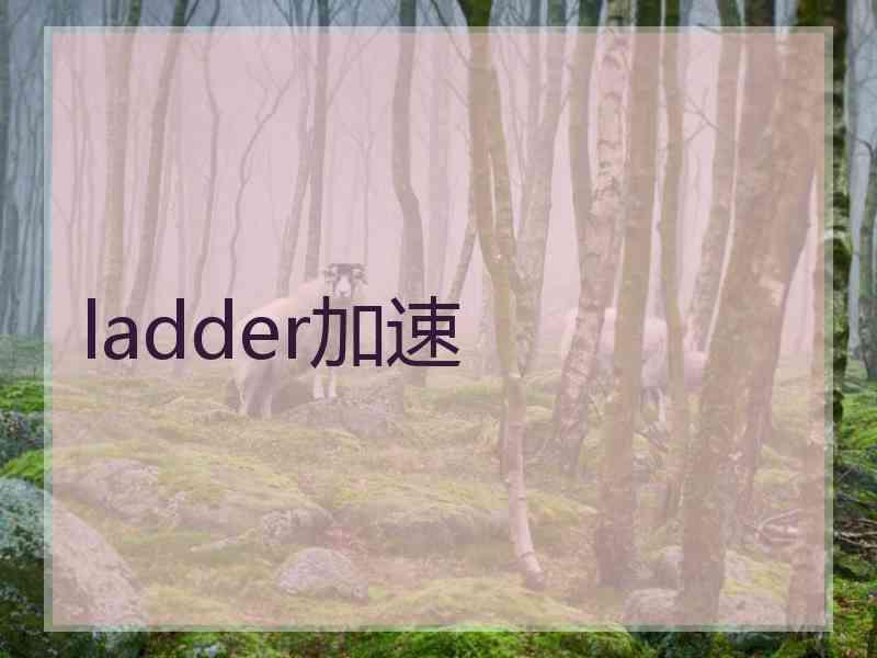 ladder加速