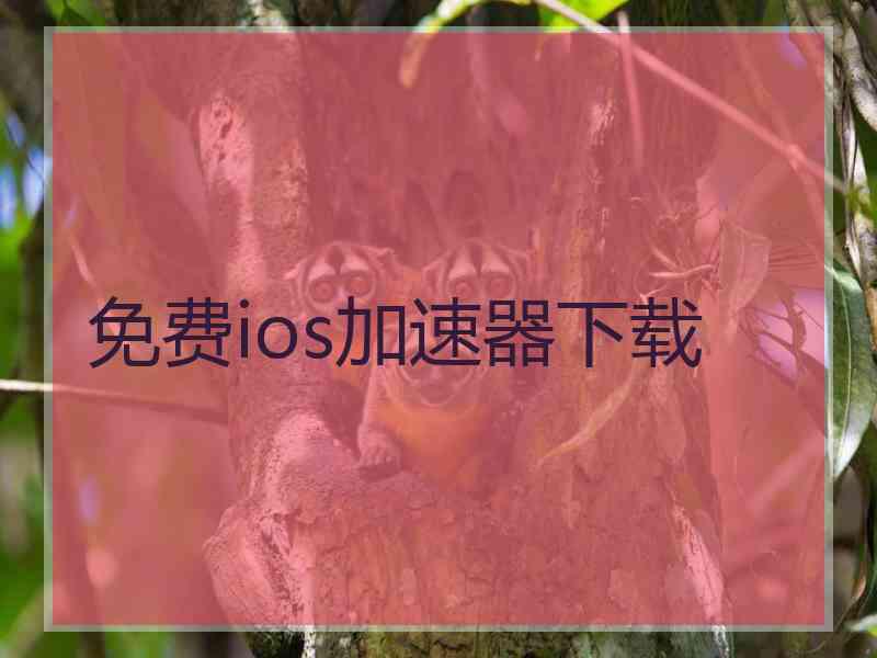 免费ios加速器下载