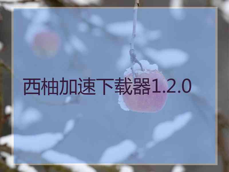 西柚加速下载器1.2.0