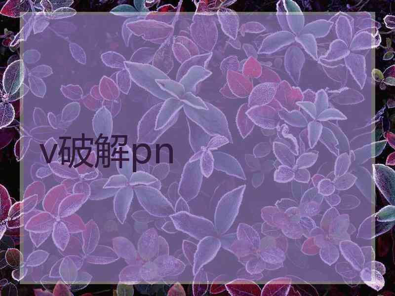 v破解pn