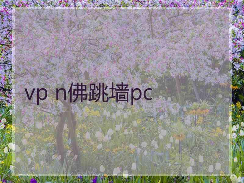 vp n佛跳墙pc