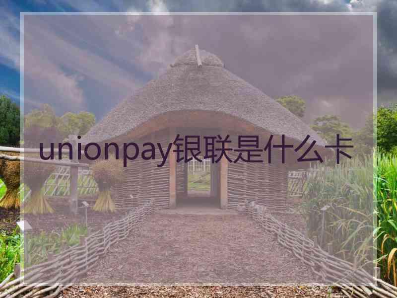 unionpay银联是什么卡