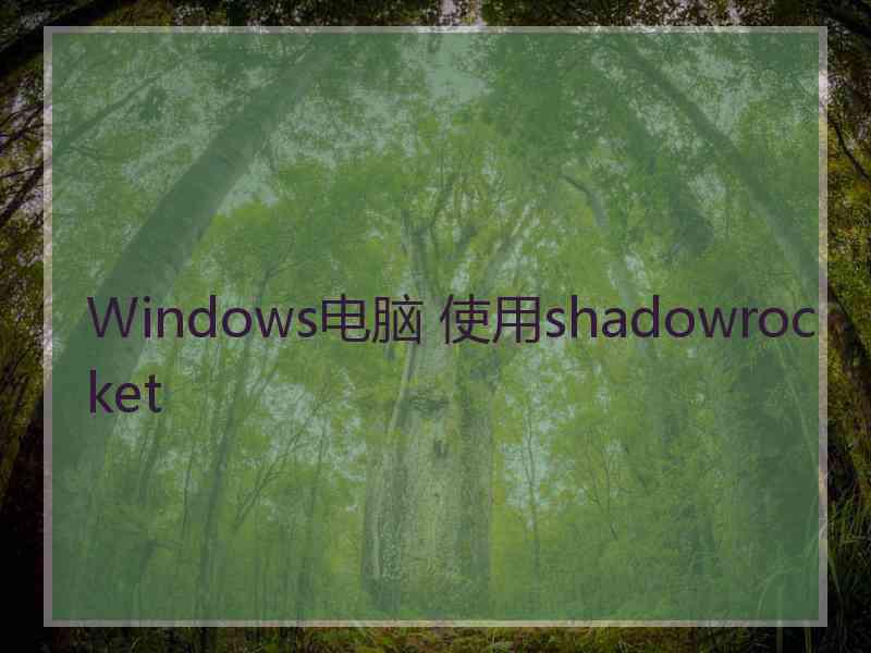 Windows电脑 使用shadowrocket