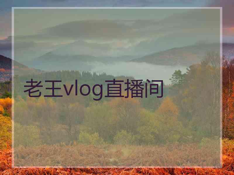 老王vlog直播间