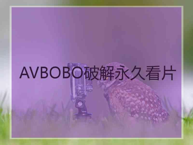 AVBOBO破解永久看片