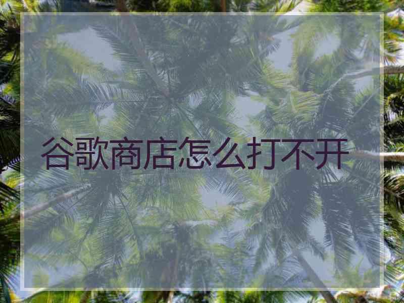 谷歌商店怎么打不开