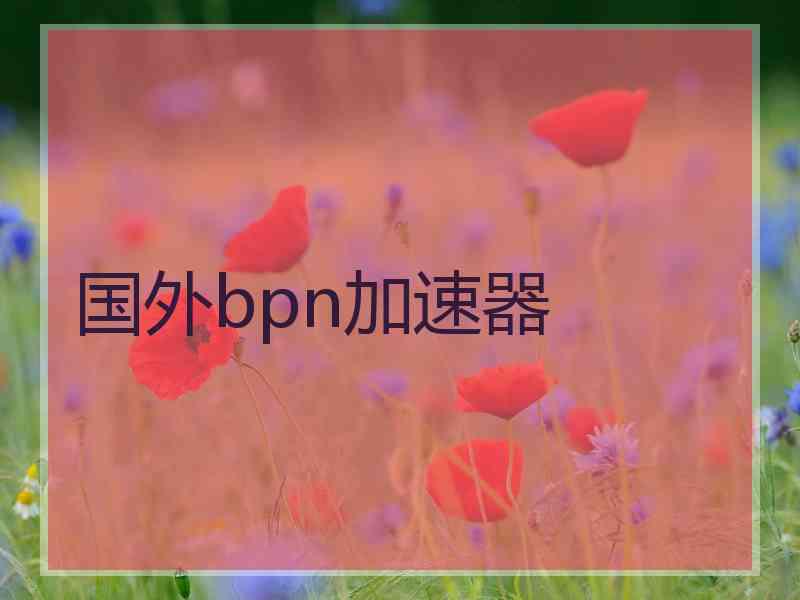 国外bpn加速器