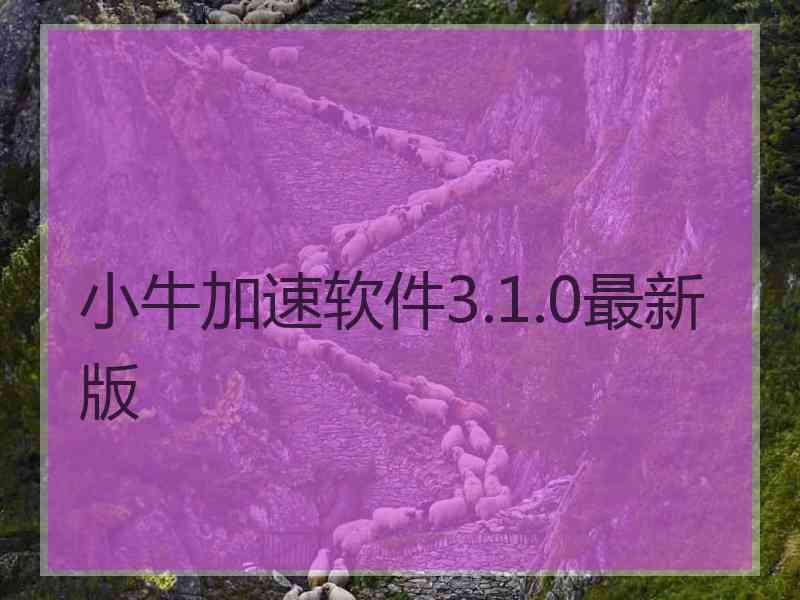 小牛加速软件3.1.0最新版