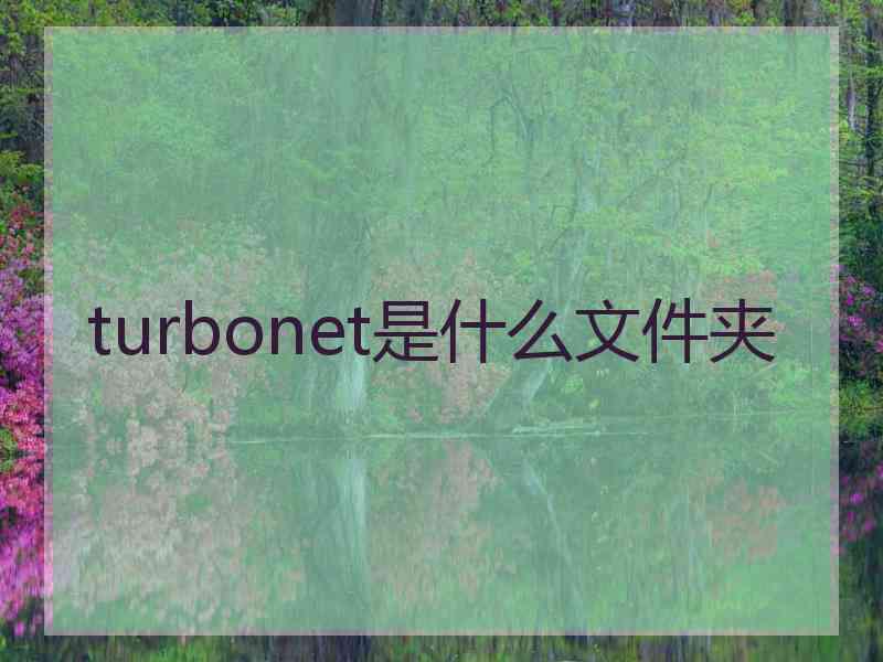 turbonet是什么文件夹