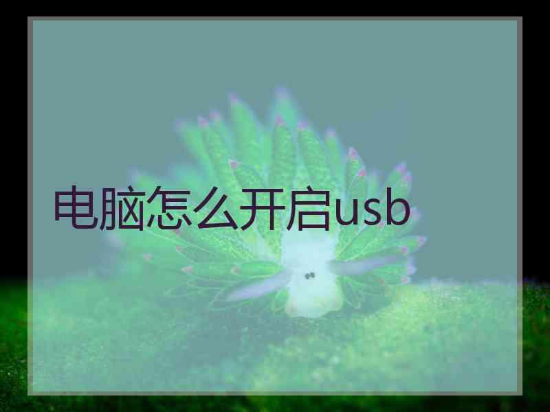 电脑怎么开启usb