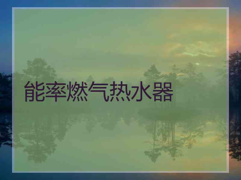 能率燃气热水器