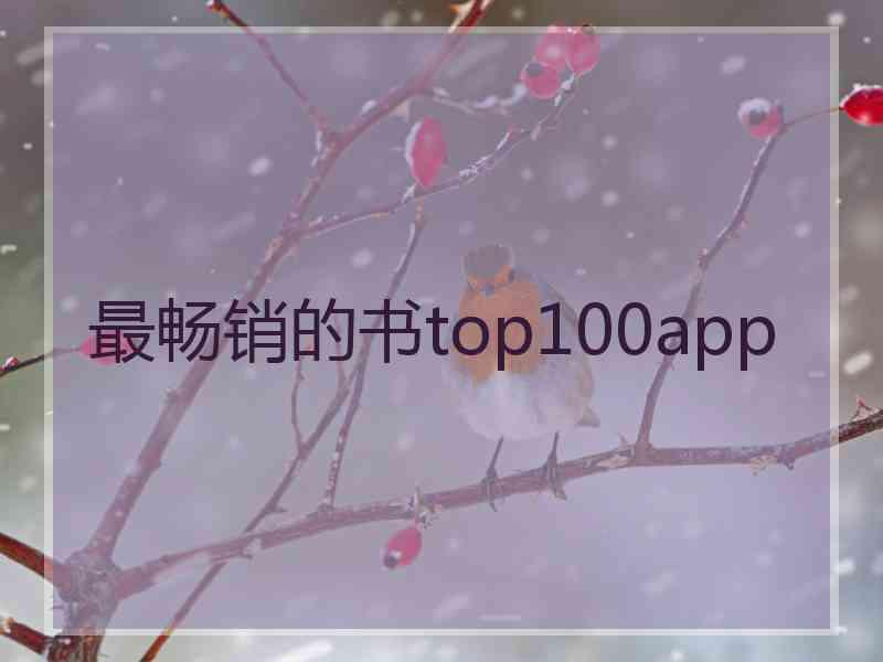 最畅销的书top100app