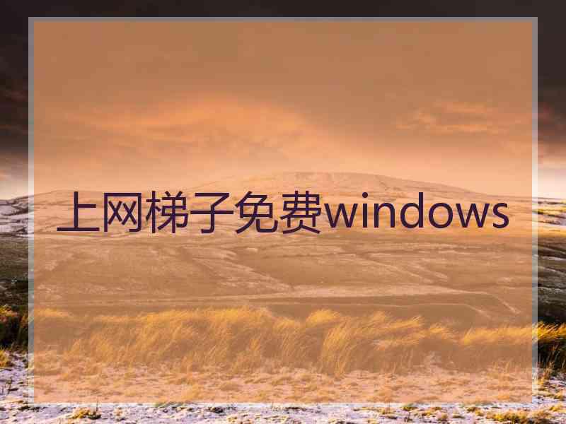 上网梯子免费windows