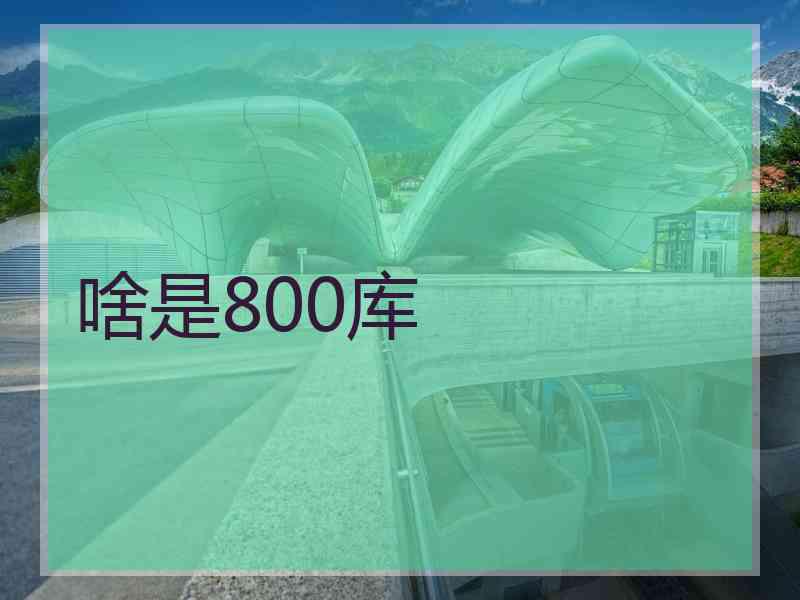 啥是800库