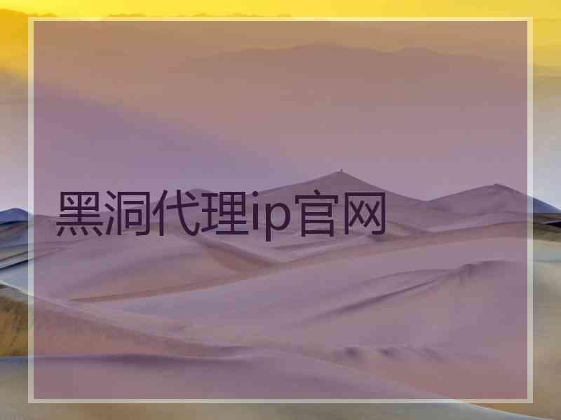 黑洞代理ip官网