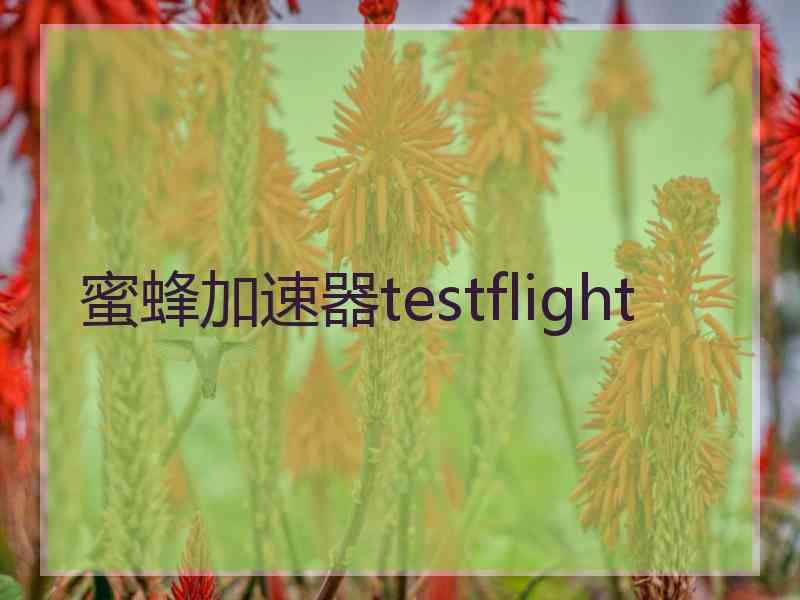 蜜蜂加速器testflight