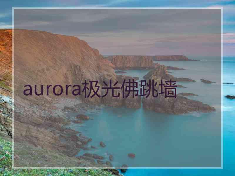 aurora极光佛跳墙