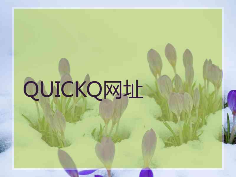 QUICKQ网址