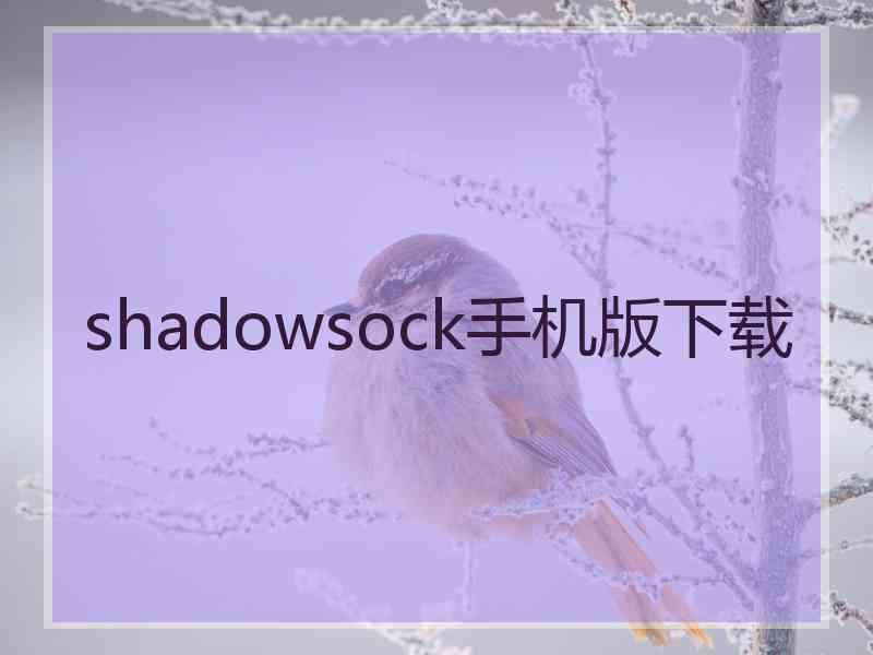 shadowsock手机版下载