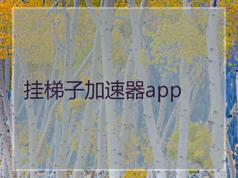 挂梯子加速器app