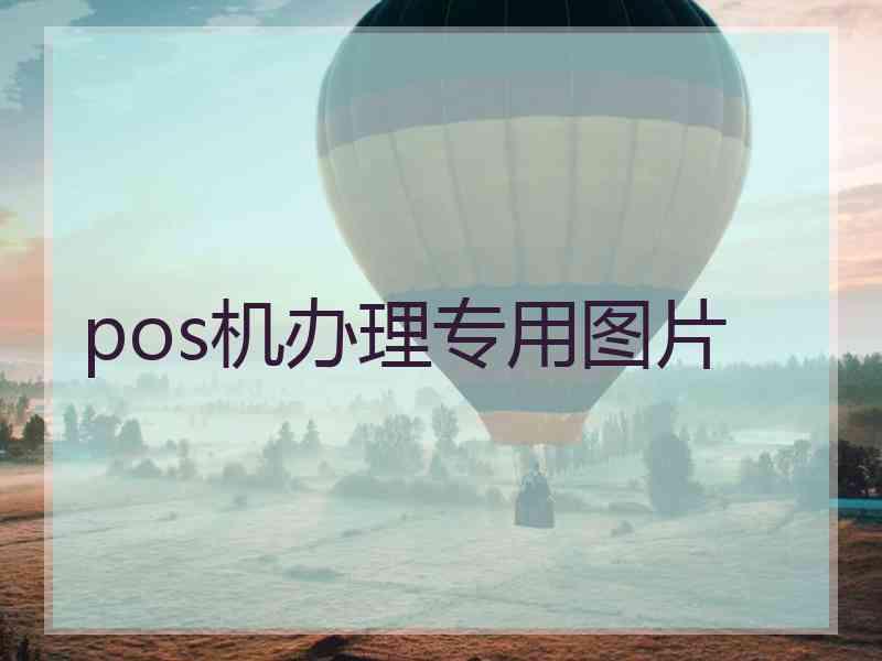 pos机办理专用图片