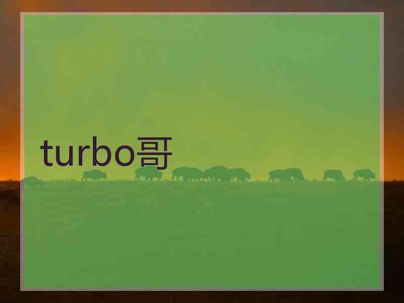 turbo哥