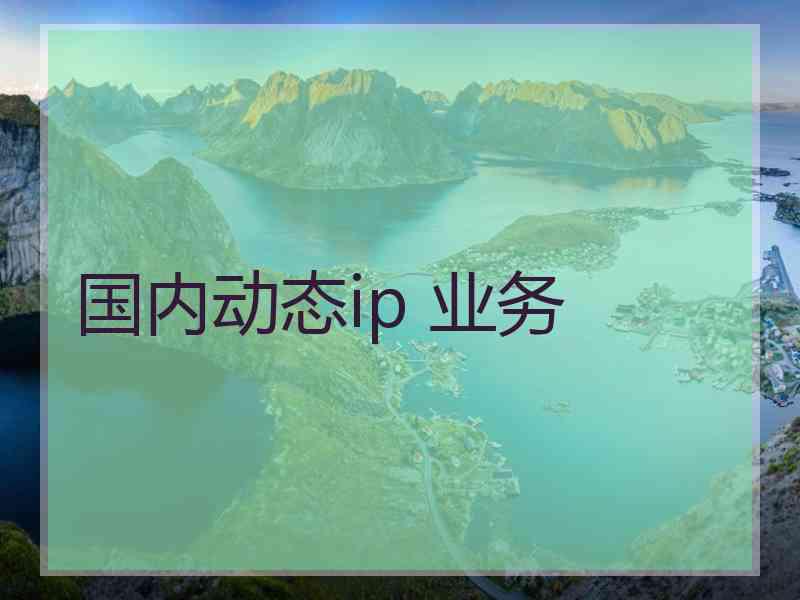 国内动态ip 业务