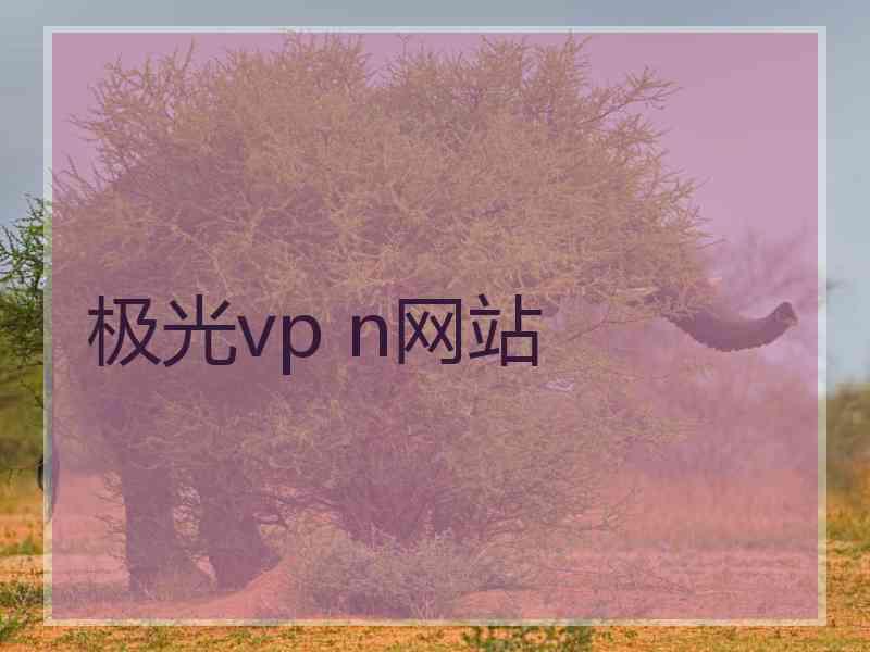 极光vp n网站