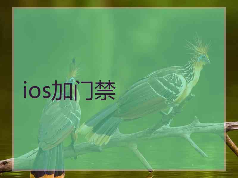 ios加门禁