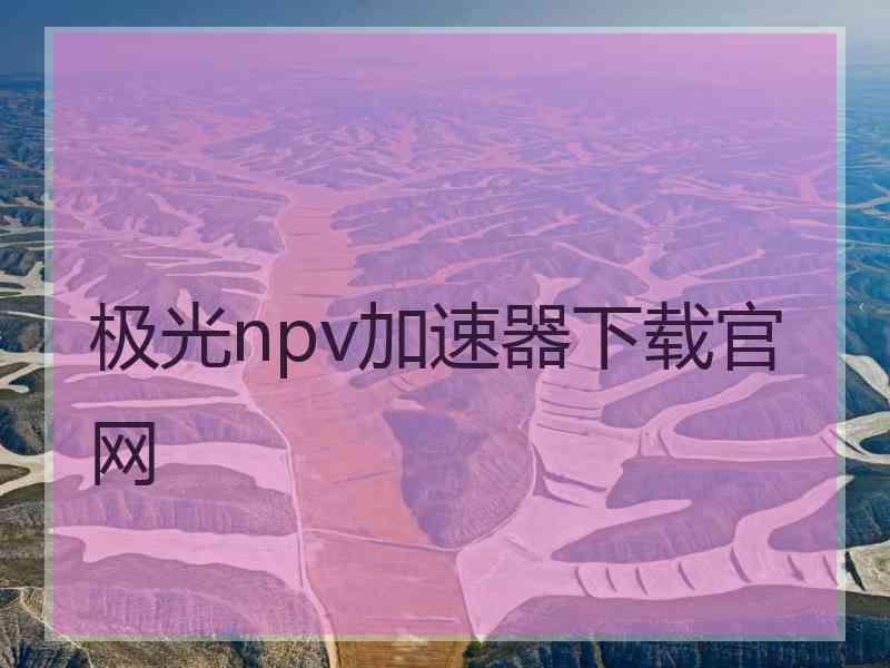 极光npv加速器下载官网