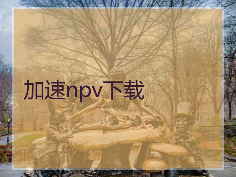 加速npv下载