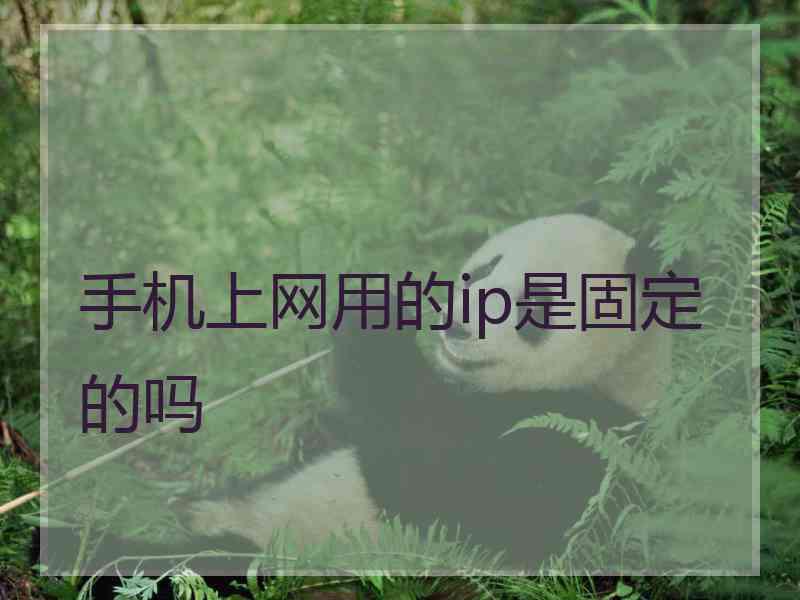 手机上网用的ip是固定的吗