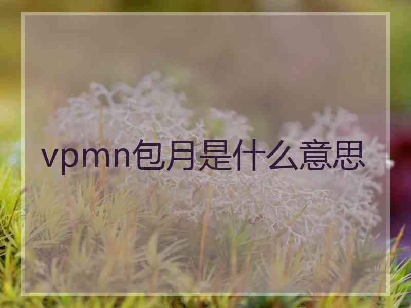 vpmn包月是什么意思