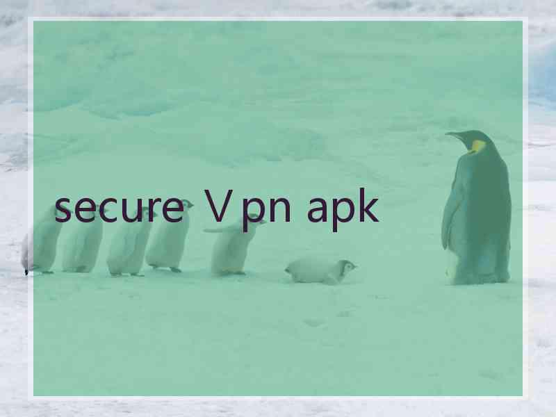 secure Ⅴpn apk