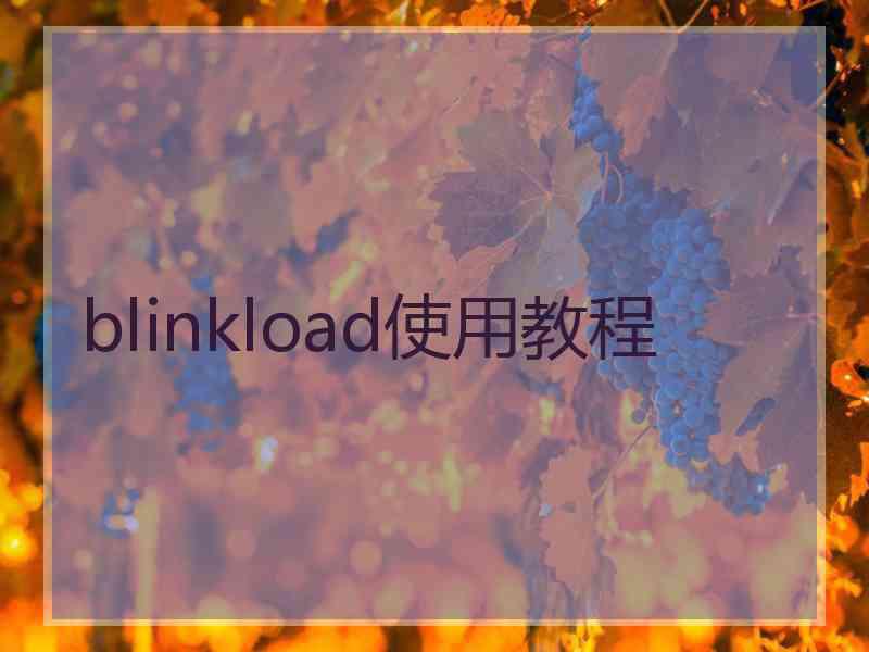 blinkload使用教程