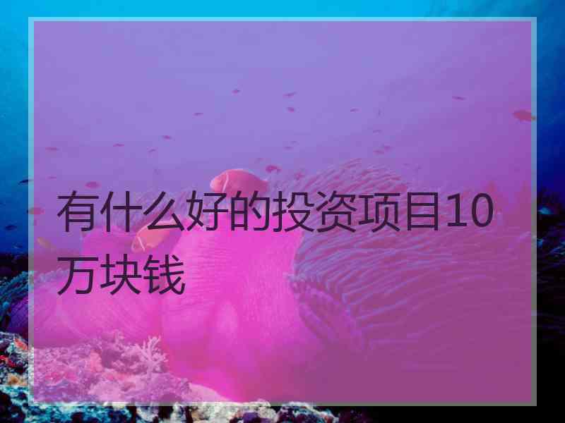 有什么好的投资项目10万块钱