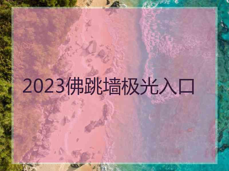 2023佛跳墙极光入口