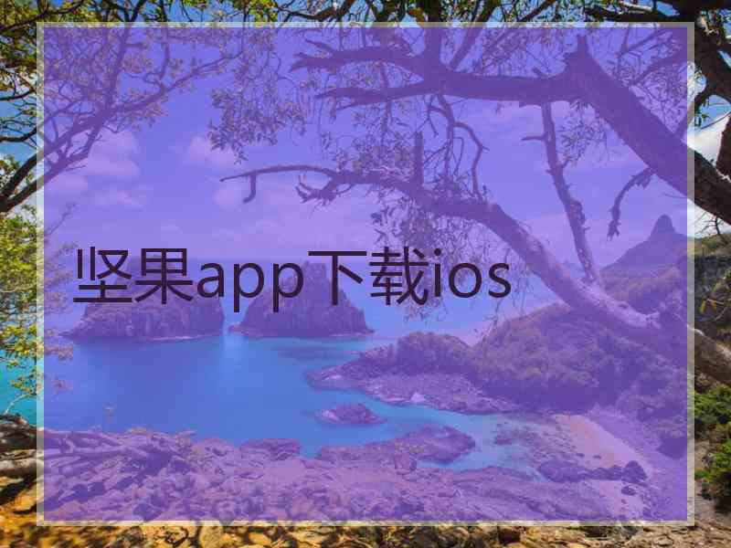 坚果app下载ios