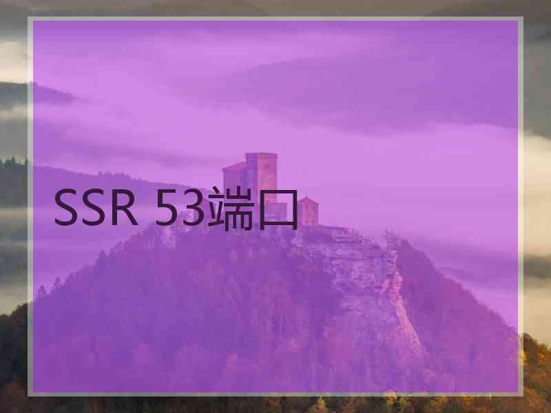 SSR 53端口