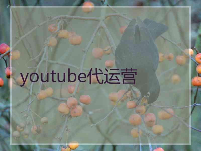 youtube代运营