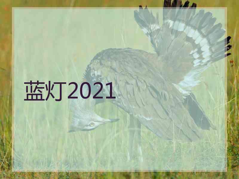 蓝灯2021