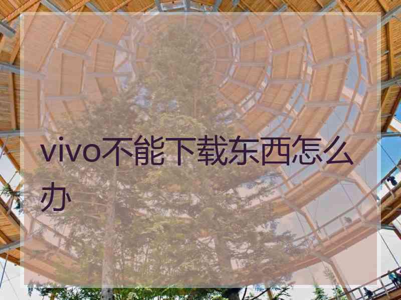 vivo不能下载东西怎么办