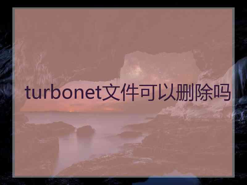 turbonet文件可以删除吗