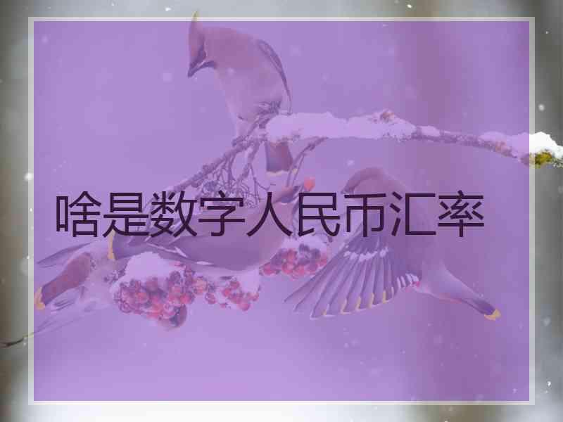 啥是数字人民币汇率