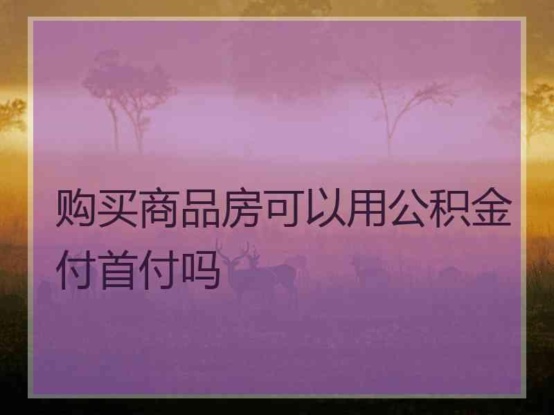 购买商品房可以用公积金付首付吗