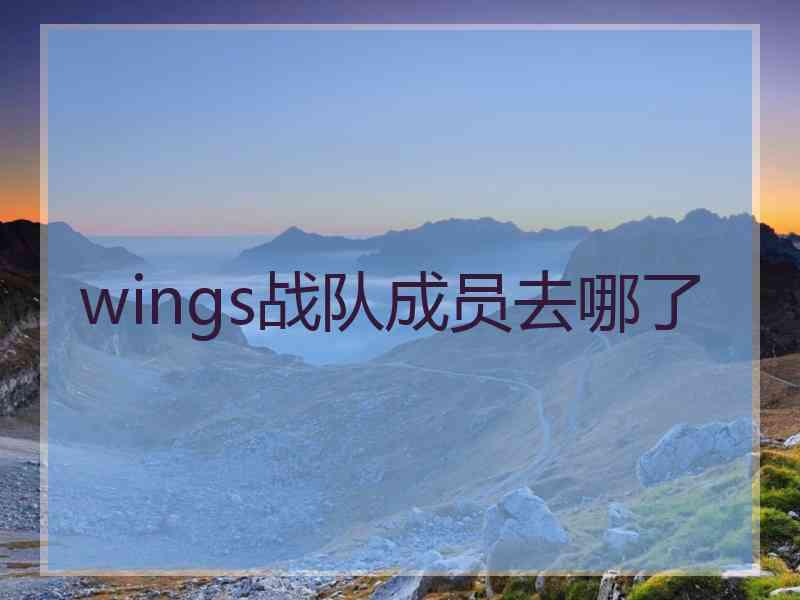 wings战队成员去哪了