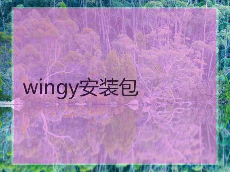 wingy安装包