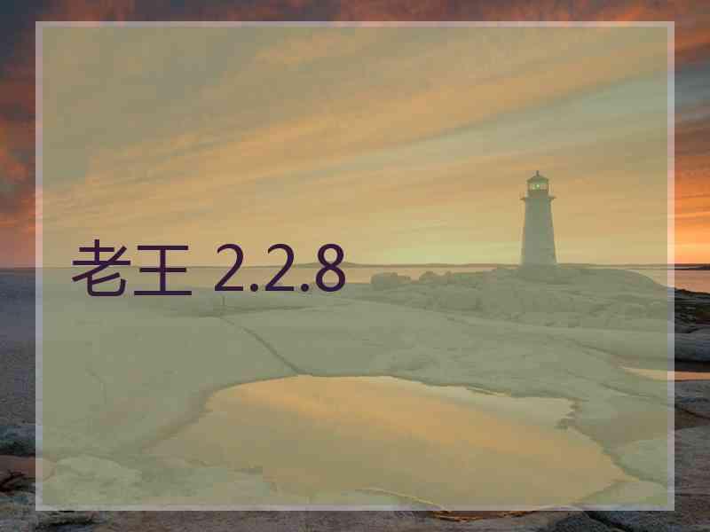 老王 2.2.8