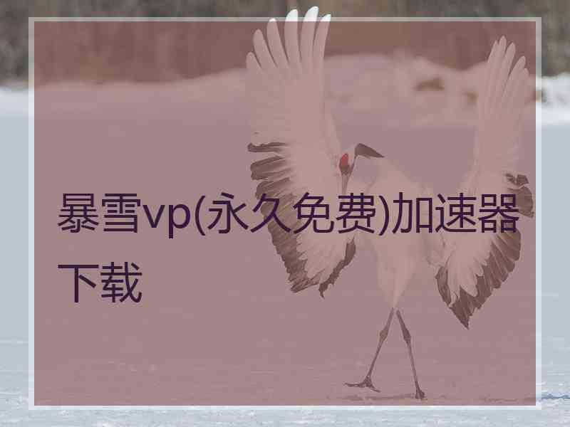 暴雪vp(永久免费)加速器下载